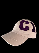 Load image into Gallery viewer, C15 STITCHED LID - [VEXED] VELVET 005
