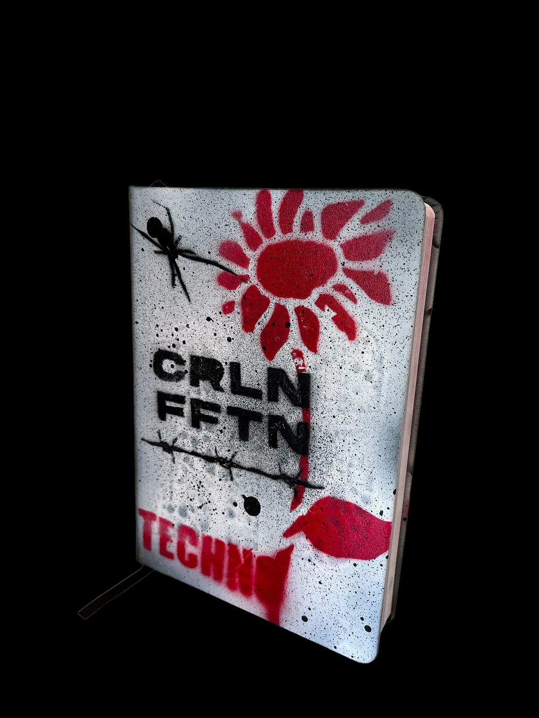 Caroline Fifteen Diary
